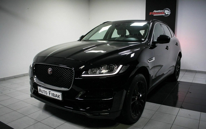 Jaguar F-Pace cena 123900 przebieg: 96000, rok produkcji 2017 z Miastko małe 562